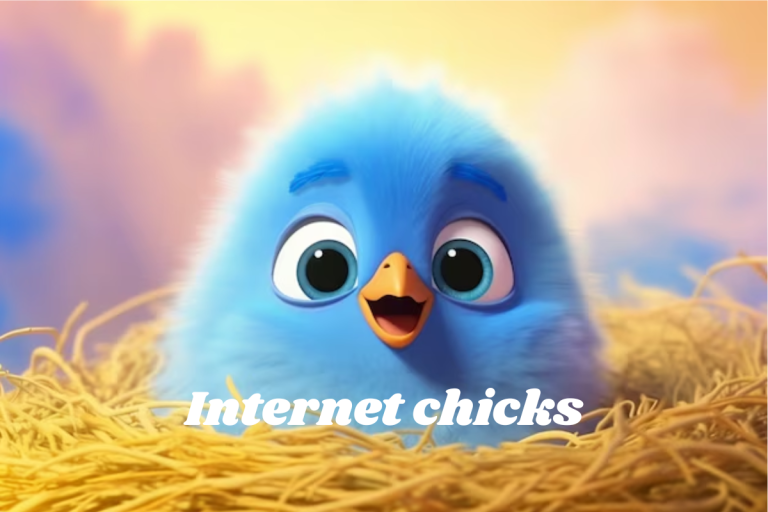 Internet chicks