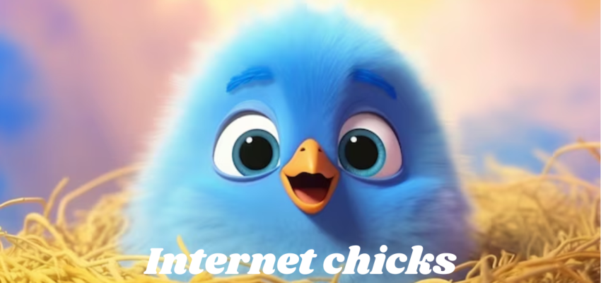 Internet chicks